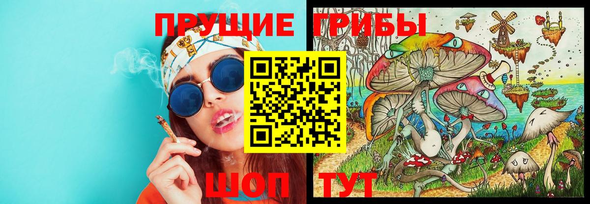 Галлюциногенные грибы MAGIC MUSHROOMS  Вход с VPN  Людиново 